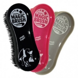 Lincoln Magic Brush